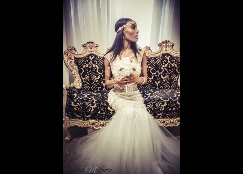 DSC0068 logo 1 683x1024